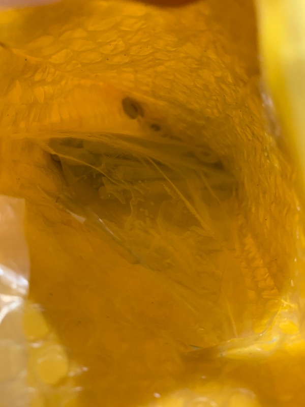 Photo 1 of STAINLESS STEEL LS1 INTAKE MANIFOLD BOLTS KIT For LSX LS2 LS3 LS6 CAMARO CORVETTE GM