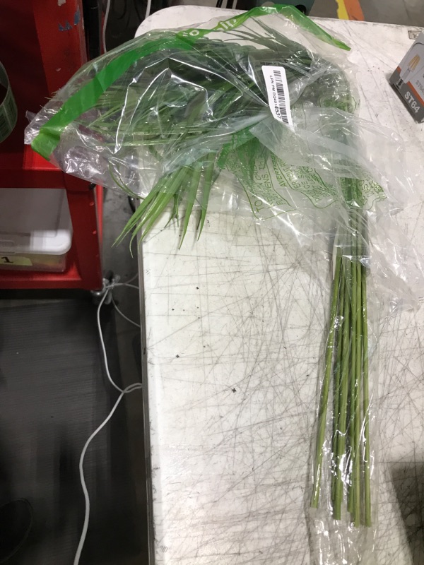 Photo 1 of 8 Pcs Artificial Areca Palm Leaves Stems Greenery Tropical Palm Tree Leaves Plants Faux Monstera Leaves for Palm Sunday Floral Arrangement Hawaiian Luau Jungle Beach Wedding Party