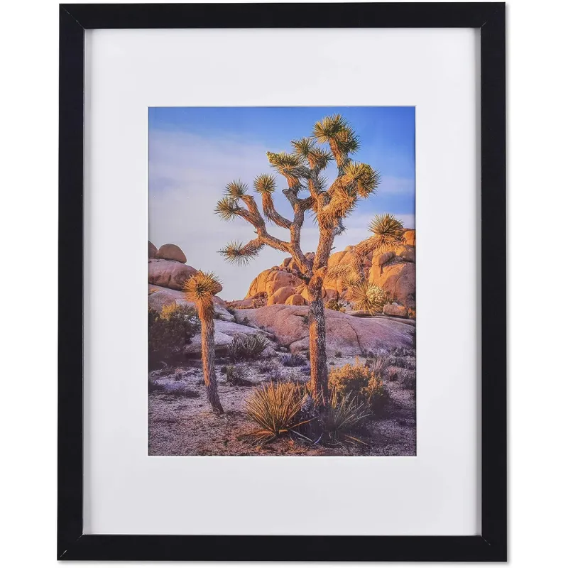 Photo 1 of A PLUS MAX 20x24 Picture Frame with mat for 16x20 Picture with Polished Plexiglass Horizontal and Vertical Formats with Included Hanging Hardware-Black

