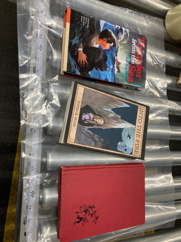 Photo 1 of Book Bundle: Thunder From the Sea, Into the Fire and The Happy Hollister.