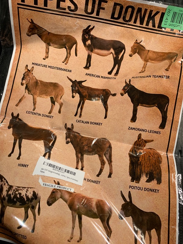 Photo 1 of ARA STEP Vintage Knowledge Posters Animals Kitchen Wall Decor Prints UNFRAMED E (297 x 420 mm / 11.7 x 16.5 inches, Types of donkeys)