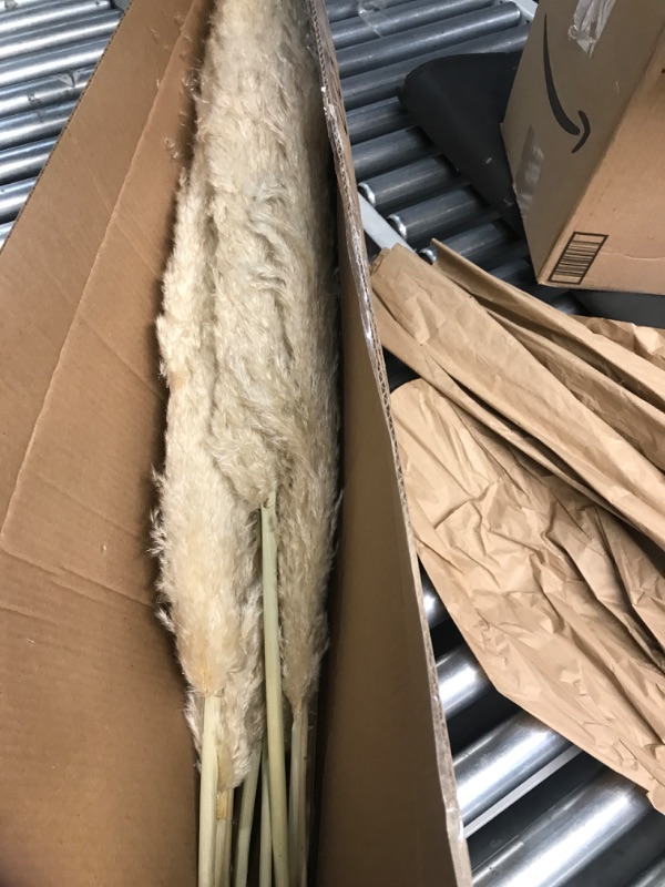 Photo 1 of ** ONLY 9 STEMS **Tall Pampas Grass 10 Stems, 40" Dried Pampas Grass Decor for Floor Vase. Natural Boho Flowers Decorations for Home, Room, Rustic Wedding, Party, Wall, Farmhouse Aesthetic. (Beige, 10 Stems)
