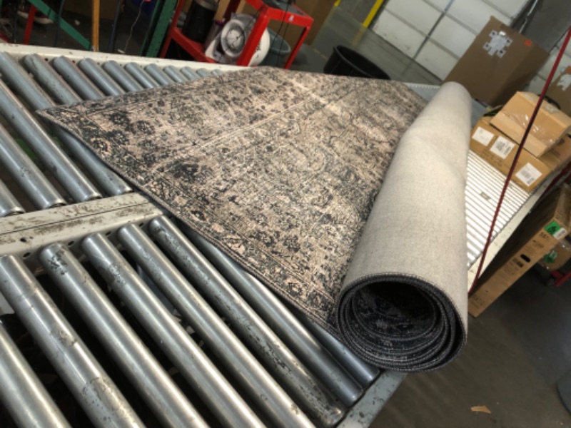 Photo 1 of (FAIR/USED) Loloi Layla Collection, LAY-06, Taupe/Stone, 9'-0" x 12'-0", .13" Thick, Area Rug, Soft, Durable, Vintage Inspired, Distressed, Low Pile, Non-Shedding, Easy Clean, Printed, Living Room Rug