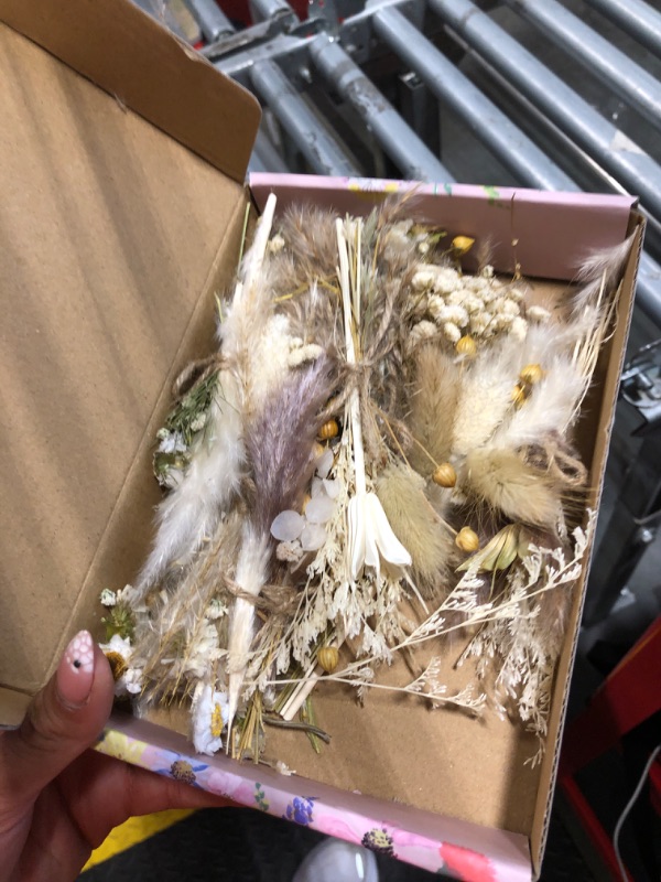 Photo 1 of 12 Pack Dried Flower Bouquet Mini Natural Pampas Grass for Crafts Small Dried Embossing Florat with Stem Boho Artificial Arrangement Wedding Derco Flowers Bundles for Vases, Wedding, Home, Party