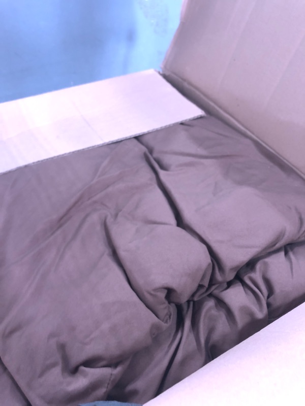 Photo 1 of Litanika Brown Comforter Set California King Size, 3 Pieces Cal King Lightweight Solid Bedding Comforter Set, All Season Fluffy Bed Set (104x96In Comforter & 2 Pillowcases)