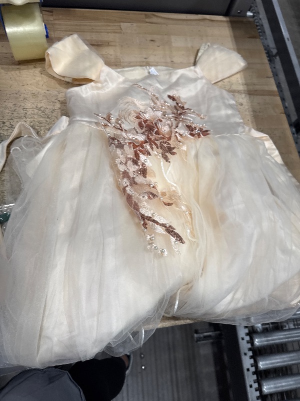 Photo 1 of *UNKNOWN SIZE** Weileenice Champagne Lace Flower Girl Dress Cold Shoulder Sequin Embroidery Vintage Teen Girls Bridesmaid Wedding Birthday Pageant Party Tulle Dresses Kids Princess Formal Dance Ballgown