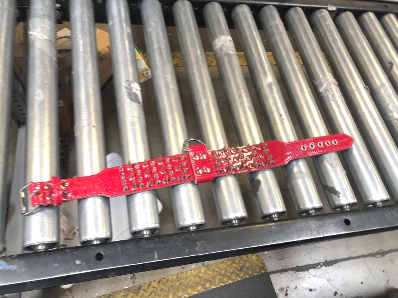 Photo 1 of dog collar with spikes 