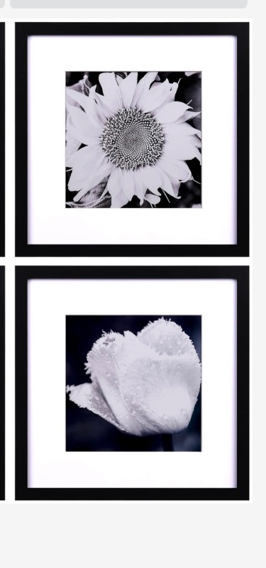 Photo 1 of Yaetm 12x12 Picture Frames Black Set of 4, Square Frame Displays 8x8 with Mat or 12 x 12 without Mat, Gallery Wall Frames 12x12 for Wall Mounted (4 Pack, Black)