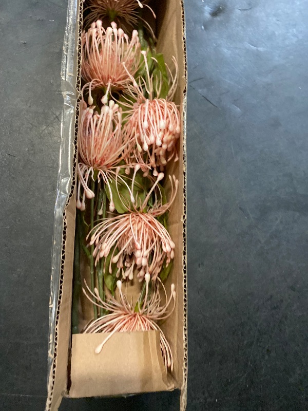 Photo 1 of Hollyone 33" Pink Artificial Mums Flowers Sping Summer Chrysanthemum Flowers 2Pcs Fake Spider Mum Flower Arrangement Faux Pincushion Flower with 3 Heads Long Stem Bouquet Home Decor