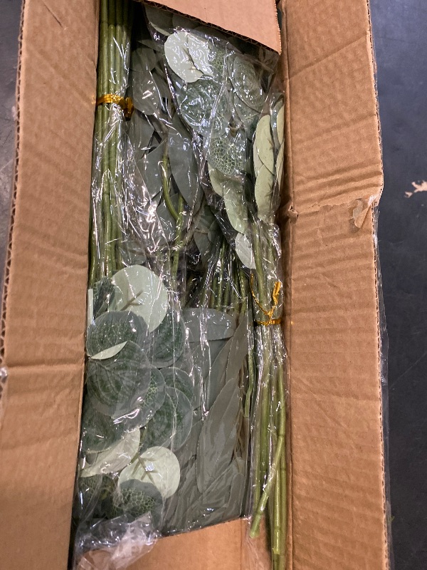 Photo 1 of 120 Pcs 4 Kinds Mixed Artificial Eucalyptus Leaves Stems Bulk Fake Silver Dollar Eucalyptus Bundle Faux Plants Greenery for DIY Bouquets Floral Arrangement Wedding Engagement Party Decor (Green)