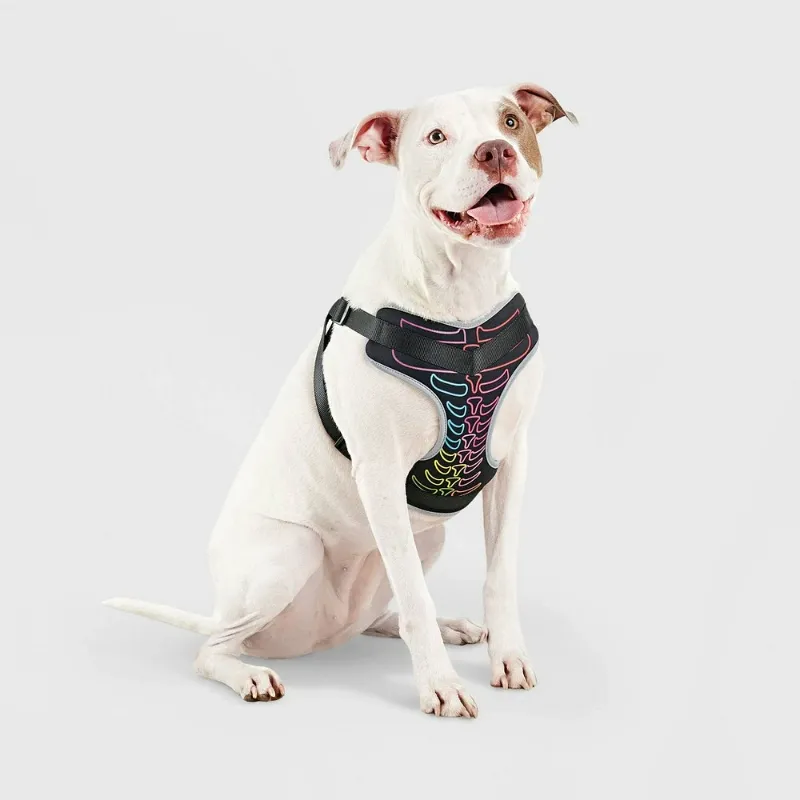 Photo 1 of Size (L) Halloween Neon Skeleton Dog Harness Costume  - Hyde & EEK! Boutique