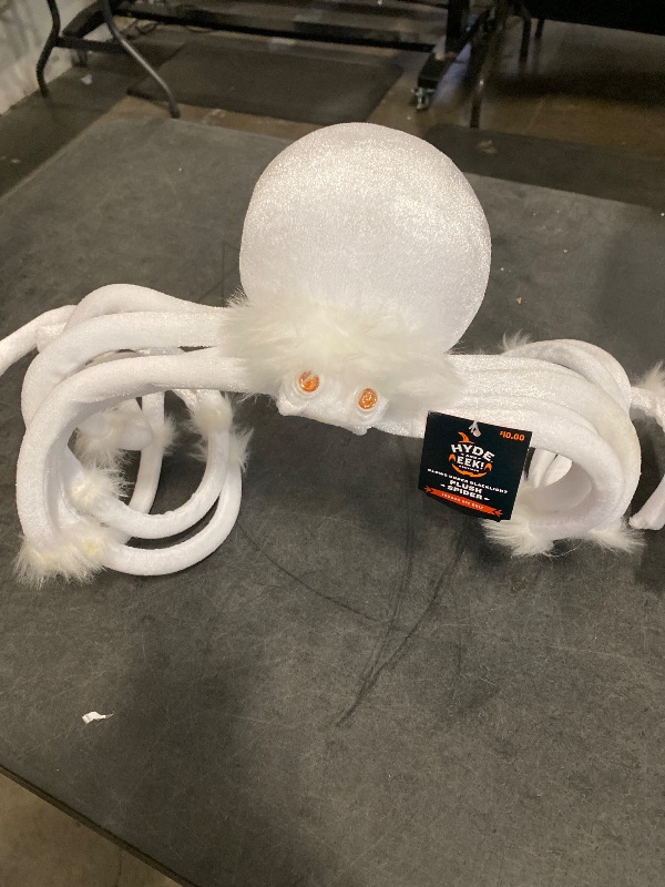 Photo 1 of Plush Spider" from the Hyde & Eek!