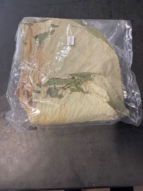 Photo 1 of Rainlily Wen Dried Lotus Leaves Sushi Plate Decoration Whole Sheet 30 Pcs Food Wrapping Party Decoration Cooking Radius for 11'' Food Wrapping Party Making Lo Mai GAI