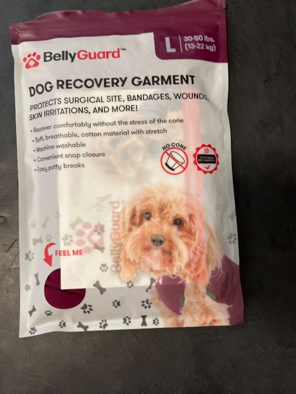 Photo 1 of BellyGuard Recovery Suit for Dogs, Comfy Dog Surgery Suit, Female Spay and Male Neuter Onesie for Post-Op Care