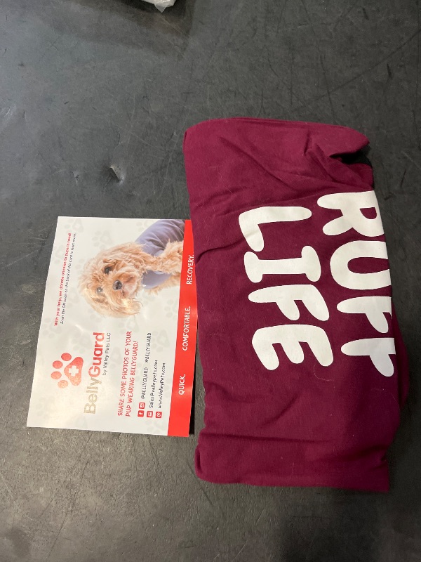 Photo 1 of BellyGuard Recovery Suit for Dogs, Comfy Dog Surgery Suit, Female Spay and Male Neuter Onesie for Post-Op Care