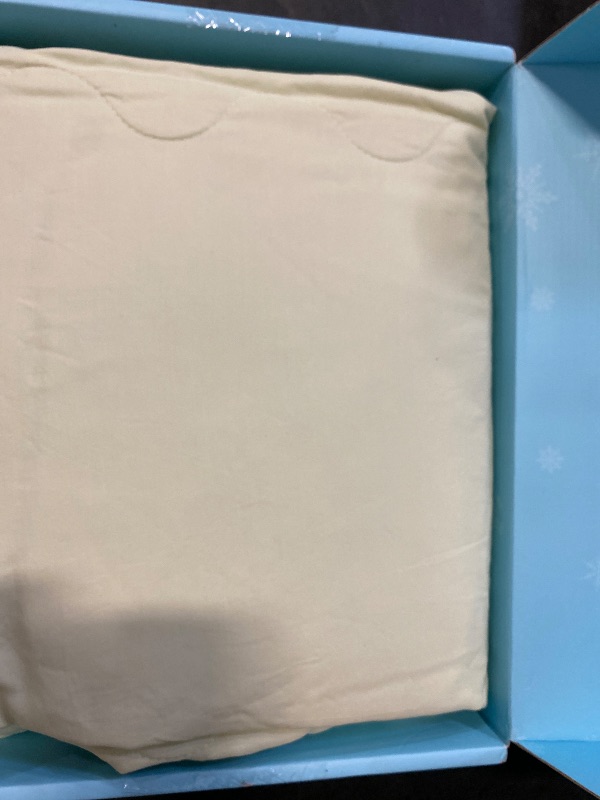 Photo 1 of (Queen) SNOWMAN Cooling Comforter Queen Size, Silk Cooling Blanket for Hot Sleepers 90x90 Inch, Q-Max>0.4, Double-Sided Arc-chill Cooling Blanket, Ultra Soft Cooling Throw Blanket, Mellow Green