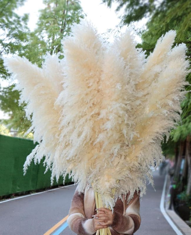 Photo 1 of 15pcs 40''Dried Pampas Grass Decor Tall-Large pompas Grass-Natural Beige Tall Pampas Grass for Floor Vase,Wedding,Party,Farmhouse,Living Room Floor,Boho Home Decor