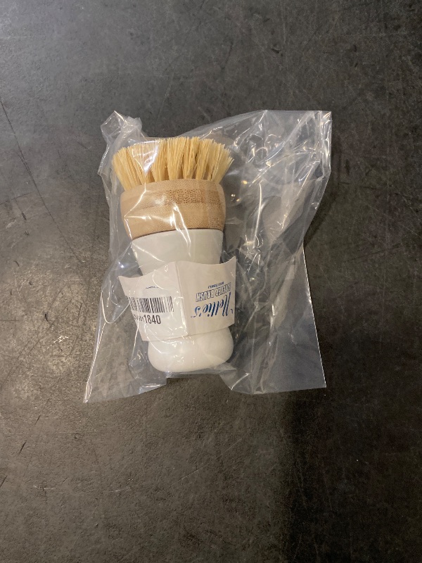 Photo 1 of Nellie's Forever Brush - The Ultimate Sponge-Brush Hybrid for Eco-Friendly Dishwashing - Sustainable Design - Versatile Scrubbing Power - Long-Lasting Handle - Eco-Conscious Kitchen Essential