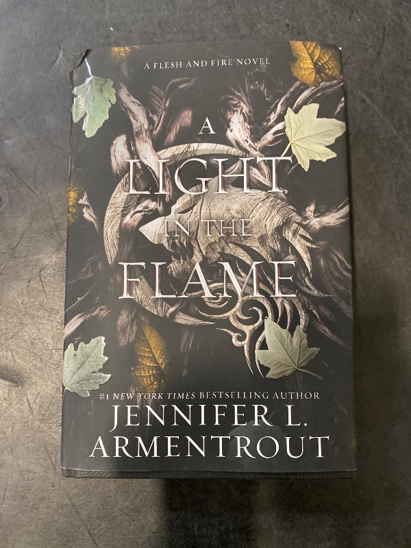 Photo 1 of A Light in the Flame: A Flesh and Fire Novel