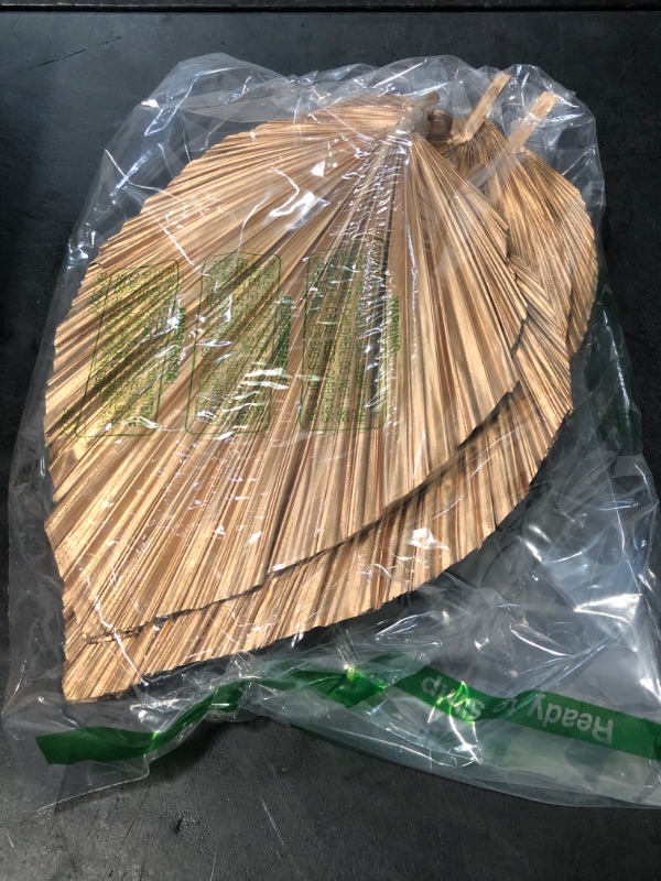Photo 1 of Ovveroche 4 Pcs Large Gold Dried Palm Leaves, Home Wedding Decor Natural Boho Dried Palm Leaves Fans with Stem,Tropical Palm Leaves Boho for Vase Baby Shower Anniversary