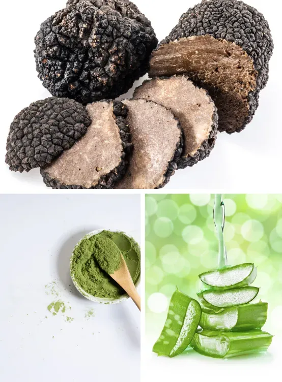Photo 1 of Perigold Truffle Cream Revitalizing & Hydrating Treatment Diminishes Signs Of  Premature Aging Leaving The Skin Youthful & Luscious New