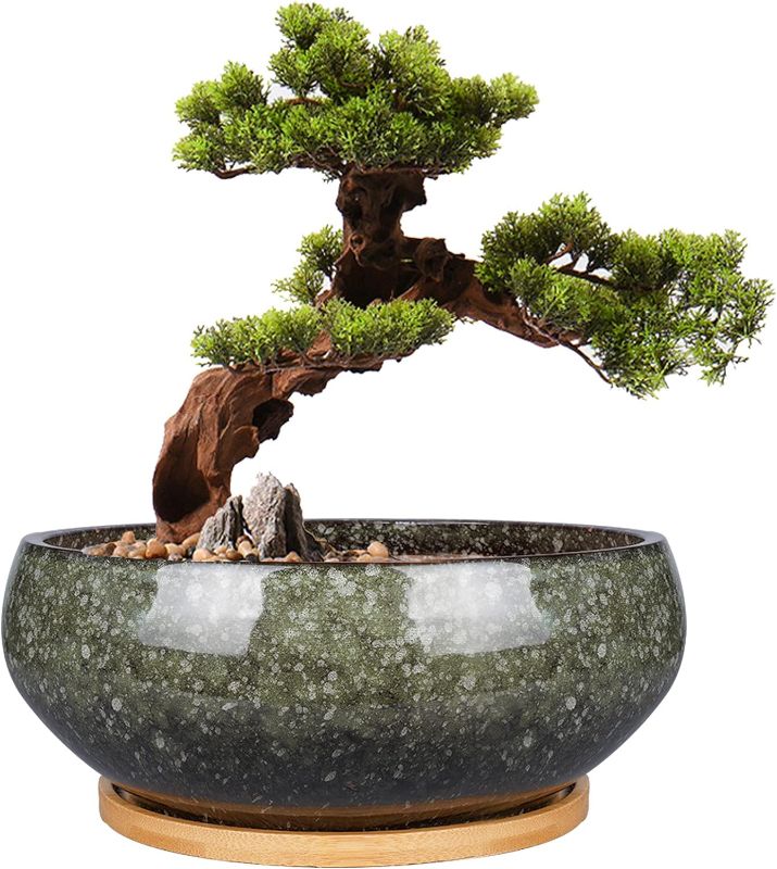 Photo 1 of 8 Inch Ceramic Bonsai Planter Pot, Glazed Shallow Succulent Planter with Drainage Hole and Bamboo Saucer for Indoor Plants, Green