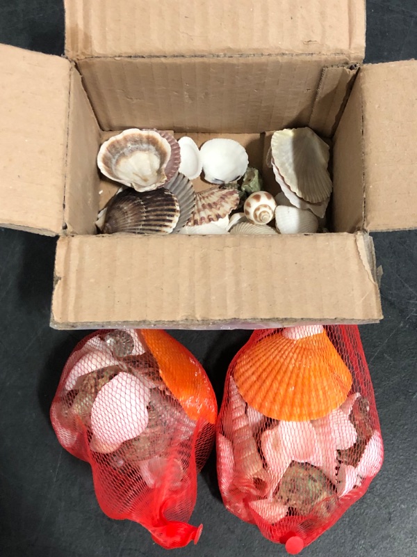 Photo 1 of 80~85pcs Sea Shells Mixed Beach Seashells for Beach Theme Party Wedding Decorations DIY Crafts Candle Making Fish Tank Vase Fillers Home Decorations Supplies