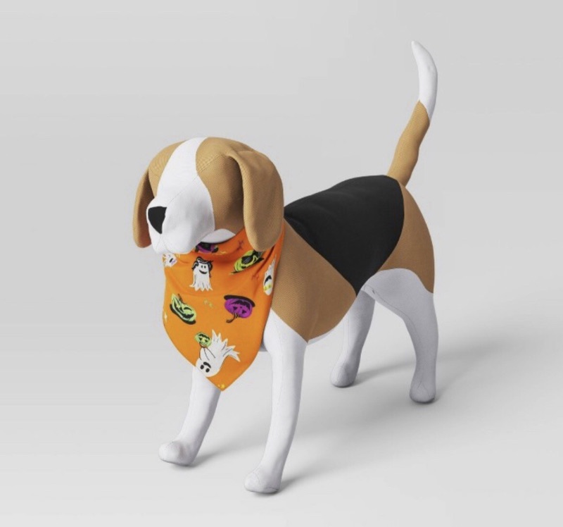 Photo 1 of 2 pack Hyde and EEK Glow in the Dark Reversible Pet Bandana