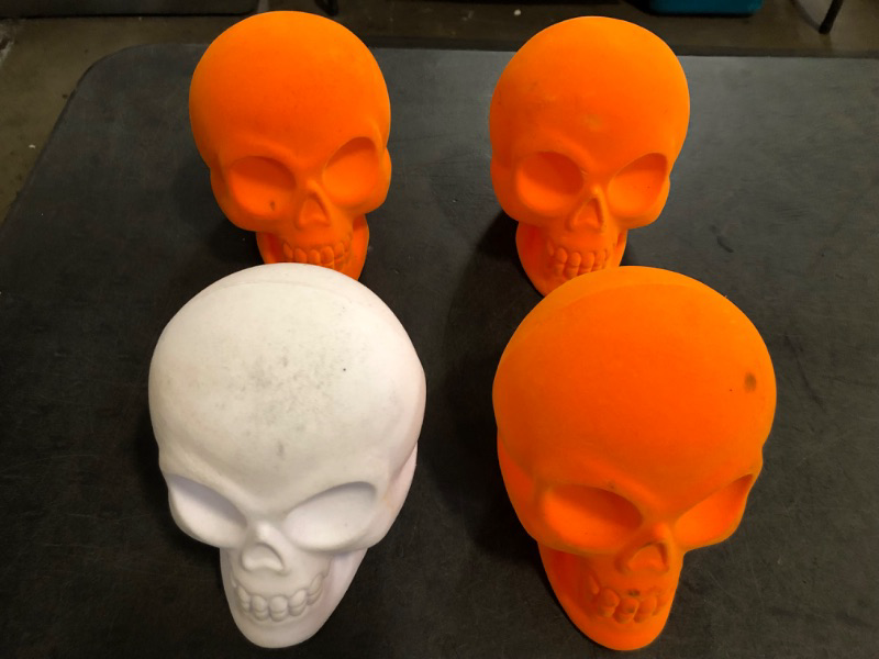 Photo 1 of 4 Fur Skeleton Indoor Decor 