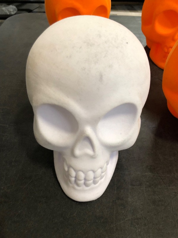 Photo 1 of 4 Fur Skeleton Indoor Decor 