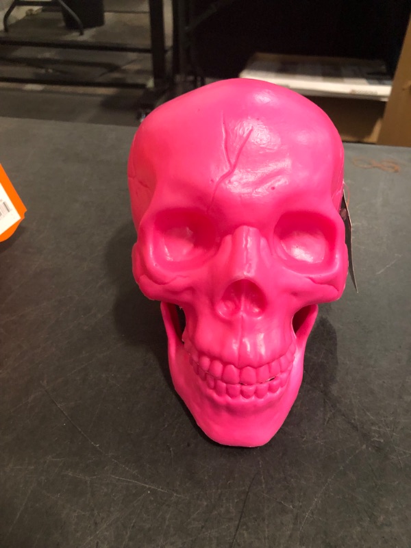 Photo 1 of 4 Neon Colored Skeleton Heads Halloween Decor Inside/Outside Decor 