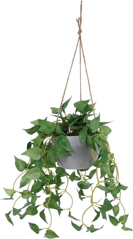 Photo 1 of Fake Hanging Plants - Simulated Green Dill Plant Vines Bedroom Hanging Basket Artificial Small Potted Plants Artificial Hanging Plants Indoor with Baskets for Wall Home Room Patio