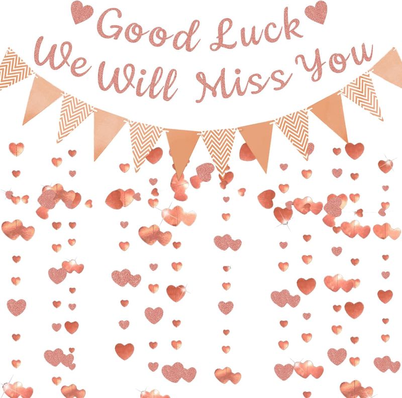 Photo 1 of We Will Miss You Banner - Rose Gold Going Away Party Decorations Good Luck Banner Pennant Garland for Graduation Farewell Retirement Goodbye Coworker Leaving Party Decoration Supplies