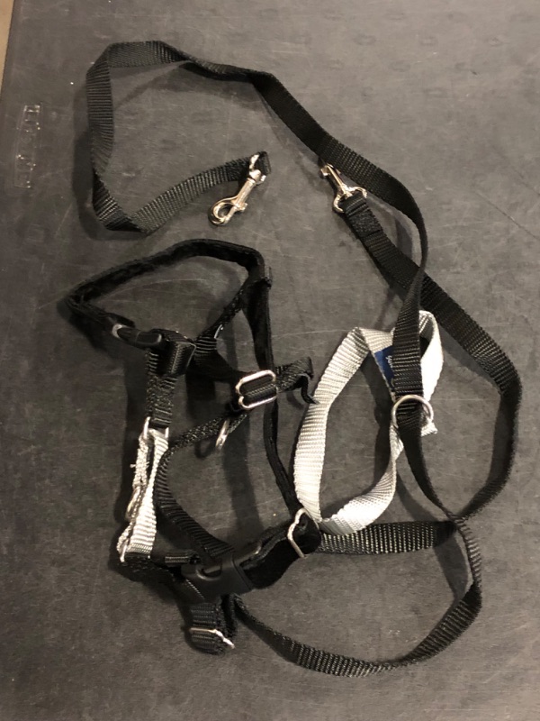 Photo 1 of Size S 2 Hounds Design Freedom No Pull Velvet Lined Dog Harness and Leash Training Package Black