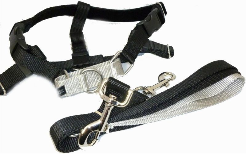 Photo 1 of Size S 2 Hounds Design Freedom No Pull Velvet Lined Dog Harness and Leash Training Package Black