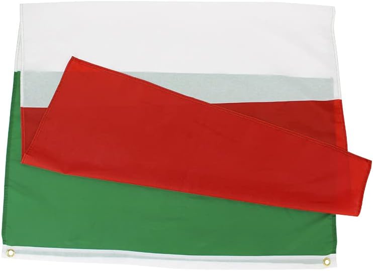 Photo 1 of ANJOR Italy Flag 3x5 Foot Italian National Flags Polyester with Brass Grommets 3 X 5 Ft