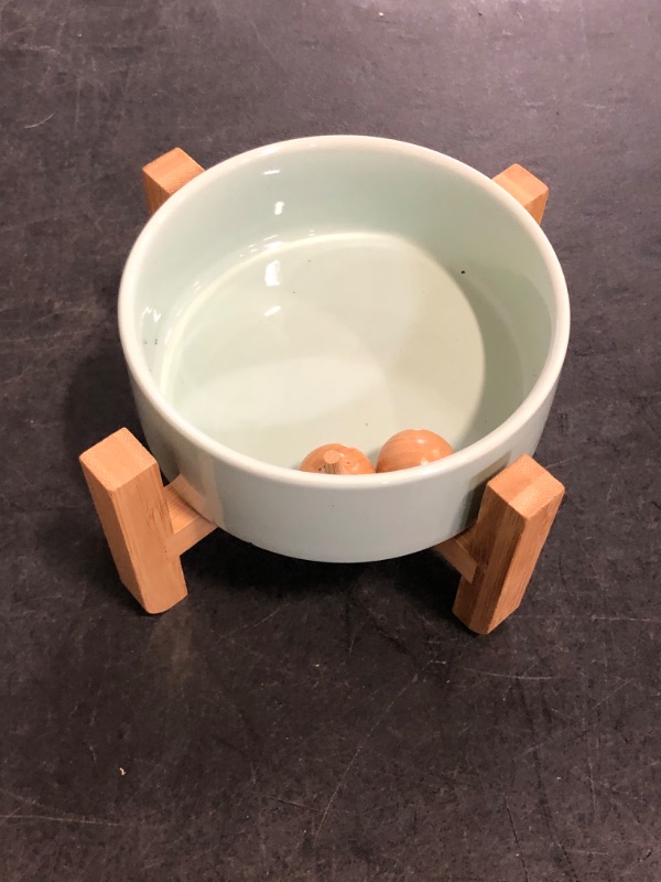 Photo 1 of Petygooing Raised/Elevated 15°Slanted Ceramic Dog Bowl for Small Breeds,Tilted Anti Slip Pet Bowl,Food Water Dish with Stand for Cats and Small Dogs Puppy 13.5 OZ (5.1In / 1.7 Cups) Blue Sky