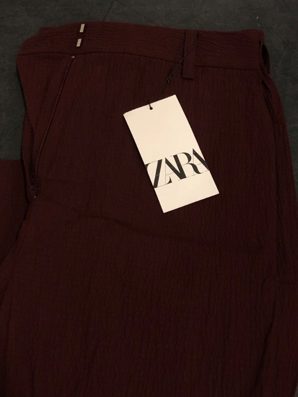 Photo 1 of (L) ZARA Womans Dress Up Pants