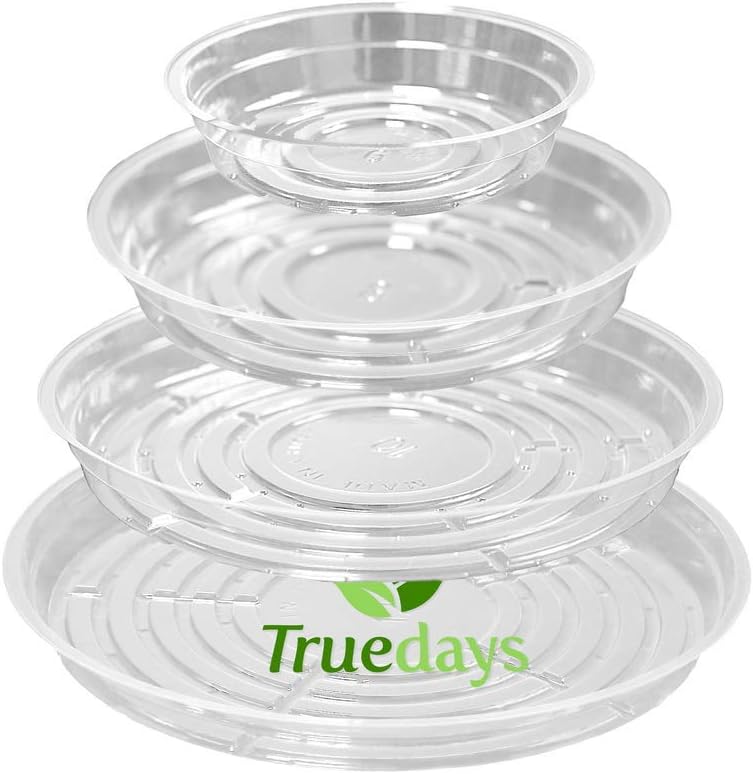Photo 1 of TRUEDAYS 20 Pack Plant Saucers (6 inch / 8inch / 10inch / 12inch) Clear Plant Saucers Flower Pot Tray Excellent for Indoor & Outdoor Plants