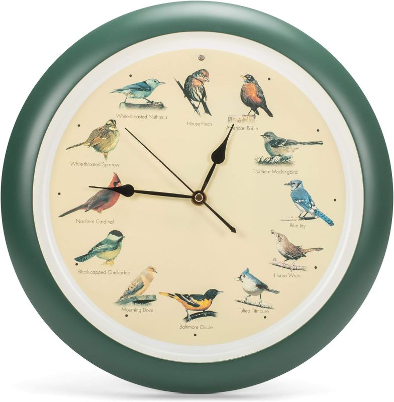 Photo 1 of Mark Feldstein, The Original Singing Bird Wall Clock, 13 Inch, Green