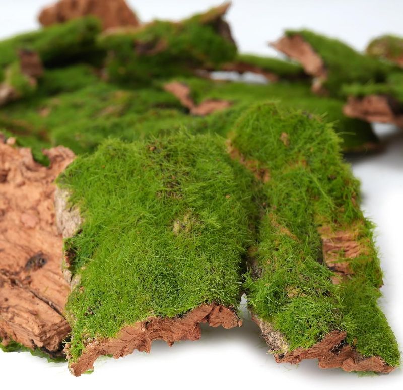 Photo 1 of BYHER Assorted Artificial Moss Bark, Decorative Mossy Tree Bark for DIY Crafts, Fairy Gardens, Terrariums, Floral Arrangements (Realistic Green - 100gr)
