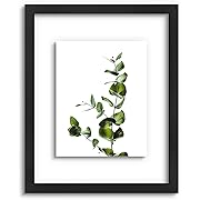 Photo 1 of Pressed Flower Frames - Black, 16x20 - Real Glass Front - Display 11x14 Picture with Floating or 16x20 without - Solid Wood Frame for Wall Mounting - 1 Pack