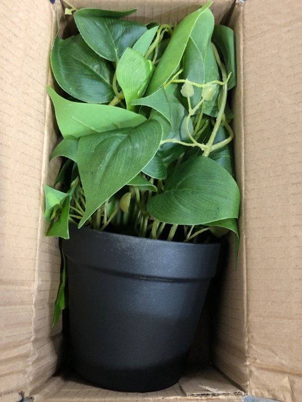 Photo 1 of LOYWREE Artificial Scindapsus Aureus Fake Pothos Plants in Black Pots - Realistic Faux Indoor Greenery for Home, Office, Desk, Shelf, Living Room, Bedroom, Balcony, Patio & Garden Decor