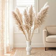 Photo 1 of Tall Pampas Grass Stems,Dried Pampas Grass Decor for Floor Vase. Natural Boho Flowers Decorations for Home, Room, Rustic Wedding, Party, Wall, Farmhouse Aesthetic. 