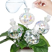 Photo 1 of Self Watering Planter Insert. Plant Watering Devices. Plant Watering Bulbs. 4-PCS Plant Watering Globes. Rainbow Colors Cactus Shape Self Watering Globes Medium Size. Plant Lover Gifts