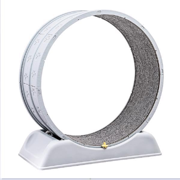 Photo 1 of Cat Running Wheel