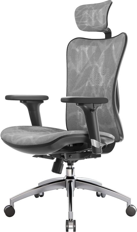 Photo 1 of SIHOO M57 Ergonomic Office Chair with 3 Way Armrests Lumbar Support and Adjustable Headrest High Back Tilt Function Grey