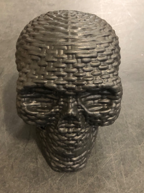 Photo 1 of Hyde and EEK Indoor Decorative Skull , 2pack , Beige and Black.