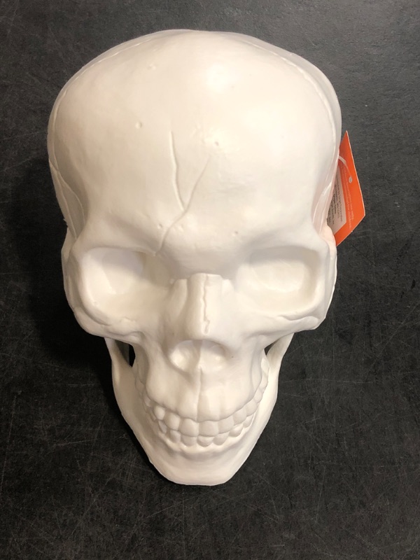 Photo 1 of Hyde and EEK Indoor/ Outdoor Skull Head Decorations 2 Pack, Orange and White 