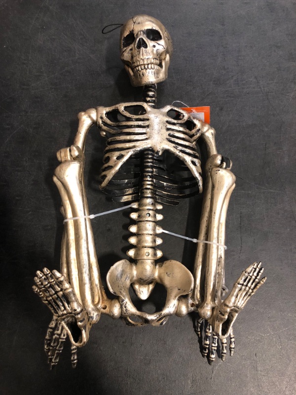 Photo 1 of Hyde & EEK Posable Skeleton 